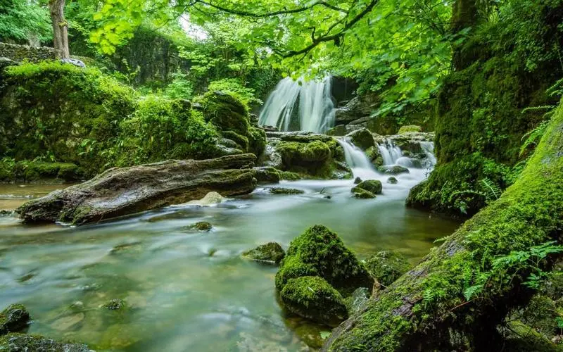 高性能高精度